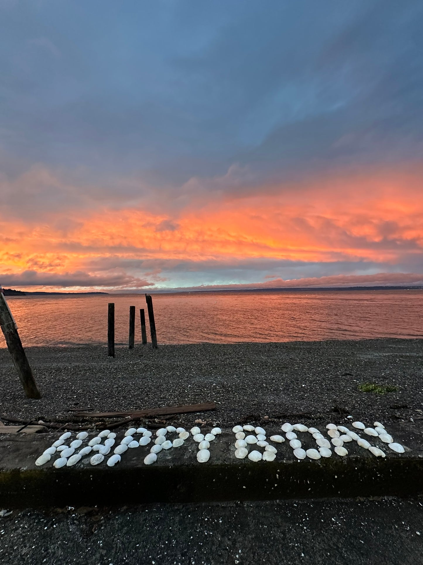 Salish Sea Salutations - 6 pack