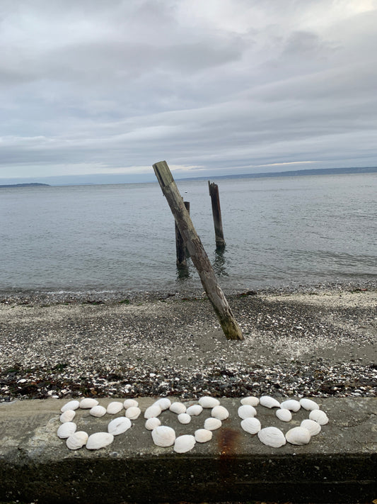 Friends are like seashells collected and treasured.