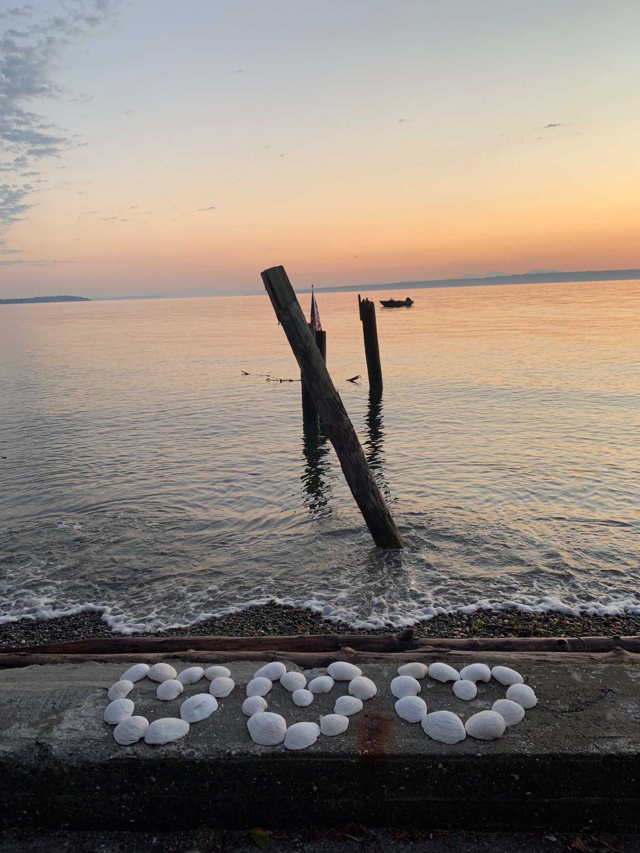 Shell Greeting Card 5-pack – Shellhouse Greetings