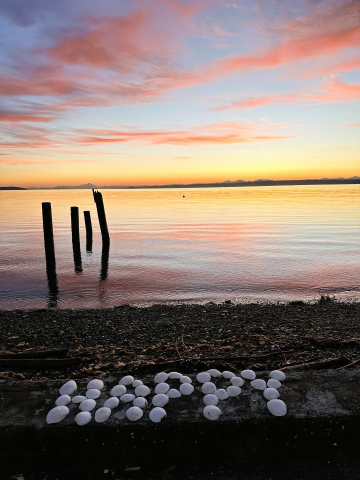 Salish Sea Salutations - 6 pack