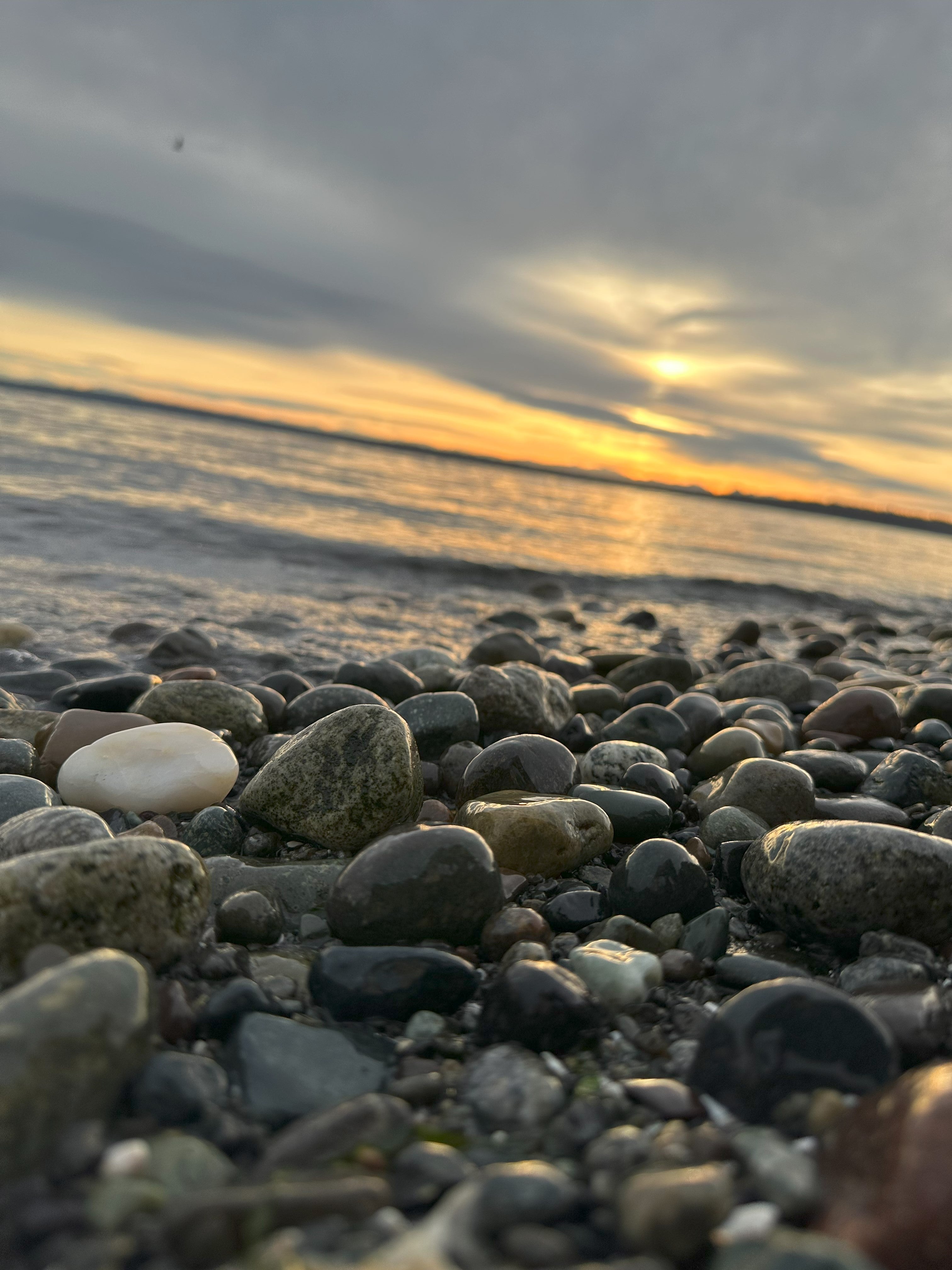 Shell House Greetings – Shellhouse Greetings